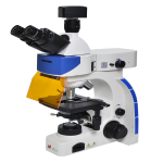 Microscope